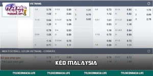 Kèo Malaysia Là Gì? Giải Mã Tỷ Lệ, Nắm Bắt Cửa Sáng